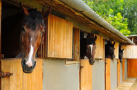 free Over Worton stable construction quotes